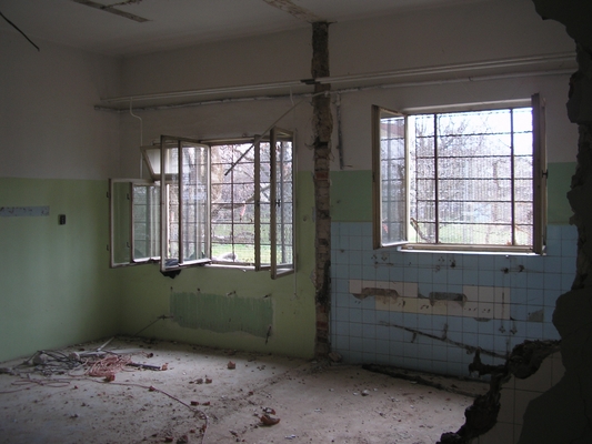 P1011767.JPG